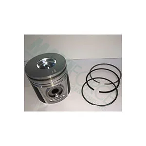 Perkins Piston & Rings, .020, U5PR0063B
